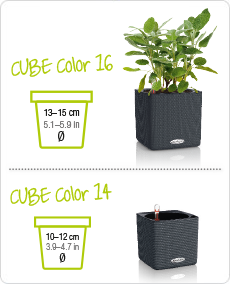 CUBE Color tailles