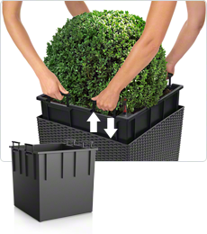 planter liner