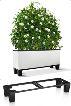 pedestals