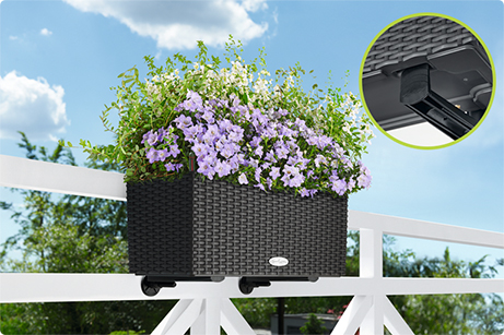 Les accroches-balconnières de LECHUZA sont invisibles de face