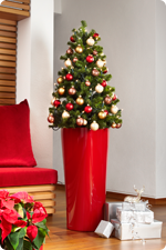 Arbre de Noël en bacs LECHUZA