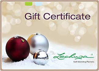 gift certificate Christmas