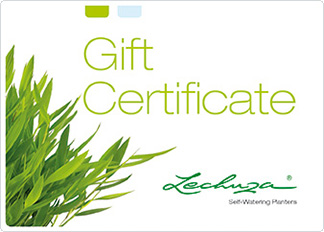 gift certificate green