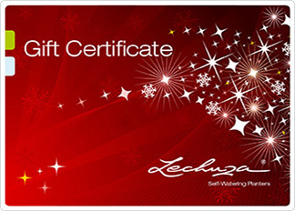 gift certificate Christmas