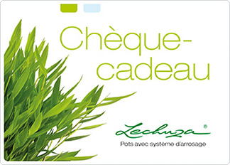 gift certificate green