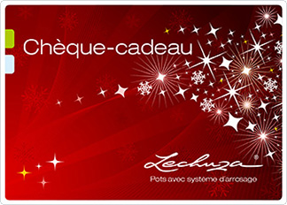 gift certificate Christmas