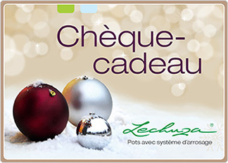 gift certificate Christmas