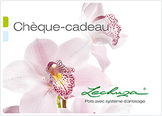 gift certificate lilac